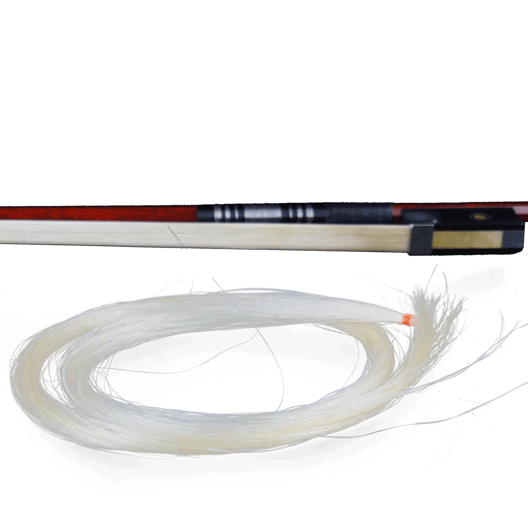 Crina para Arco – Qualidade A – Orquezz - Imagem 4