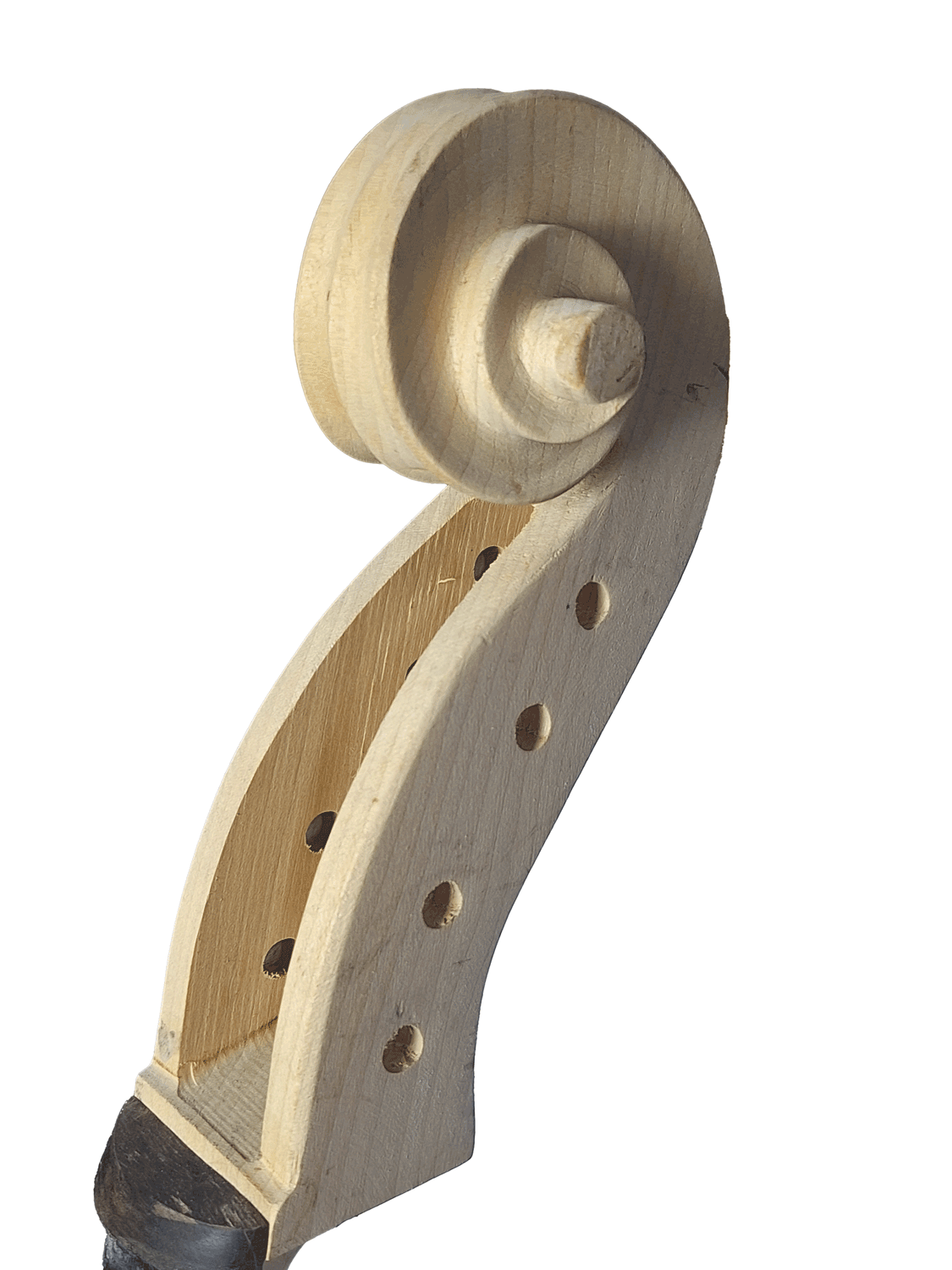 Violoncelo Inacabado 4/4 - item 318 - JANEIRO 2025 - Imagem 5