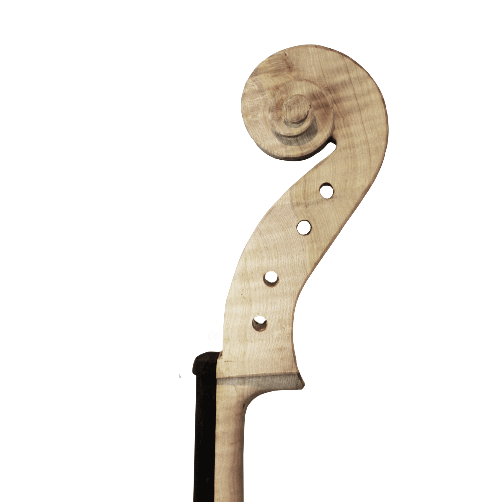 Violoncelo Top Rajado Inacabado 4/4 - Imagem 2