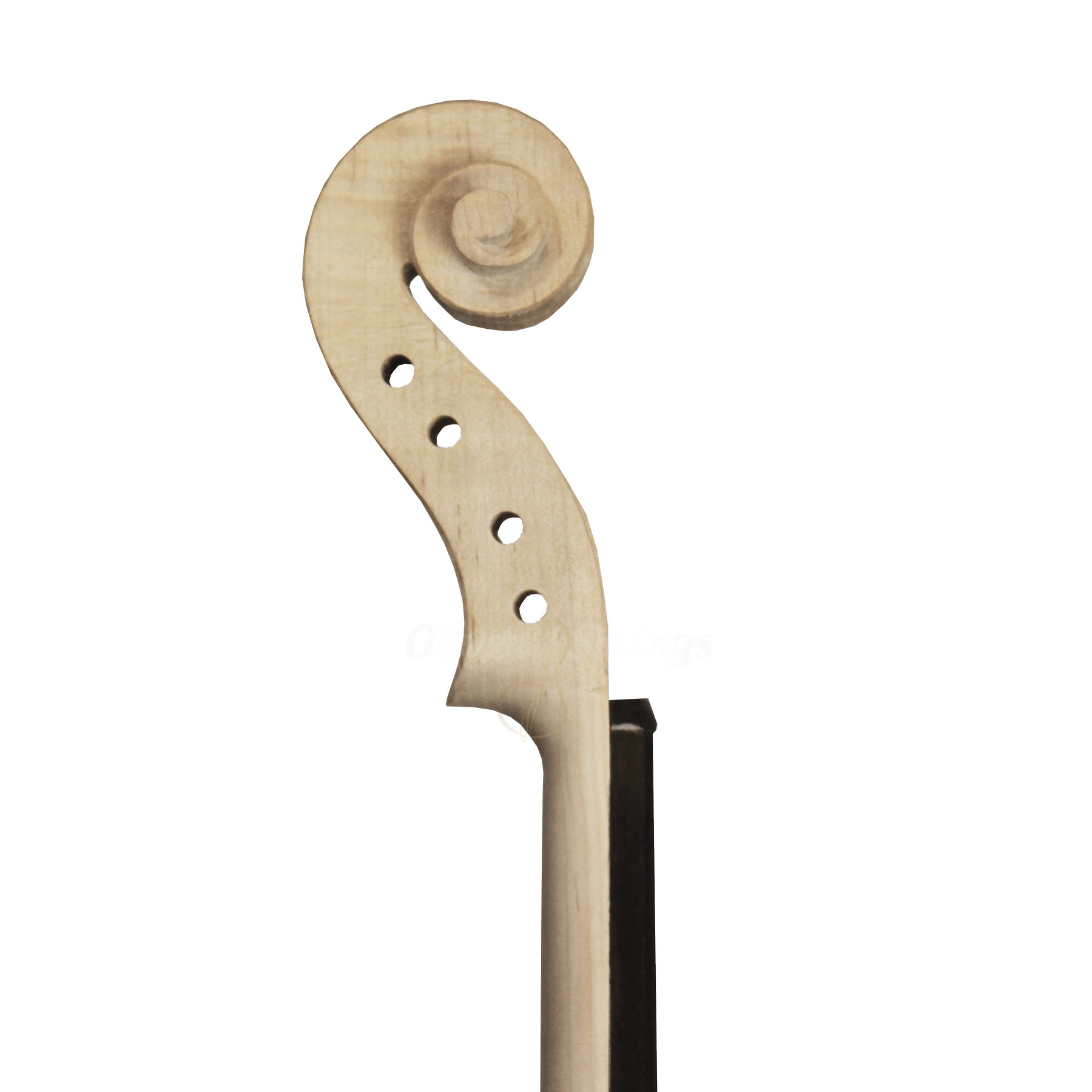 Violino Artesanal Modelo Strad Branco Inacabado 4/4 – Fundo Inteiro - Imagem 2