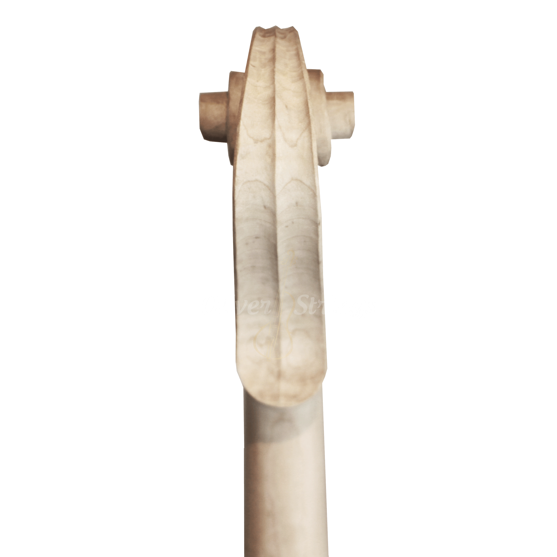 Violino Artesanal Modelo Strad Branco Inacabado 4/4 – Fundo Inteiro - Imagem 3