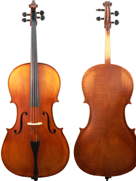Violoncelo Strad Orquezz 4/4 Semi Profissional
