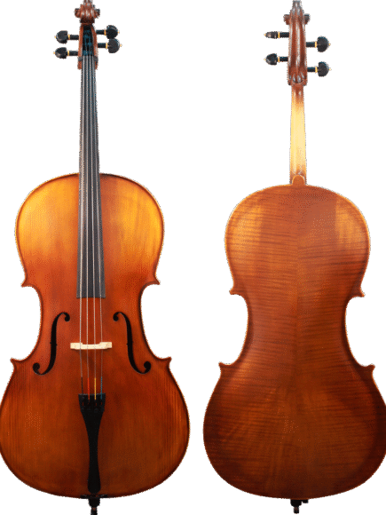 Violoncelo Strad 4/4 Intermediário Orquezz